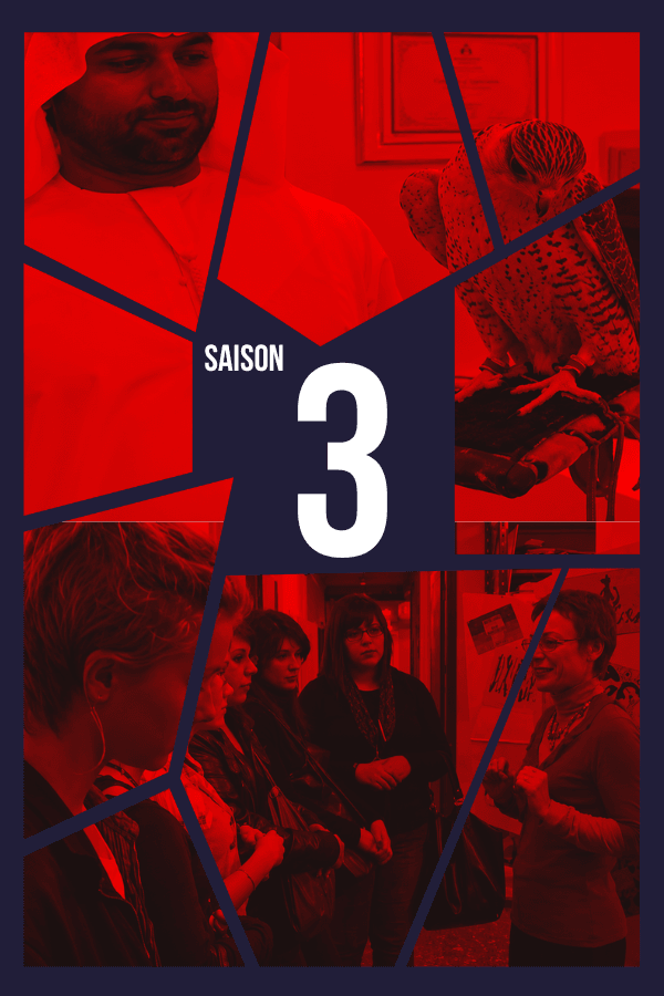 Palmarès saison 3