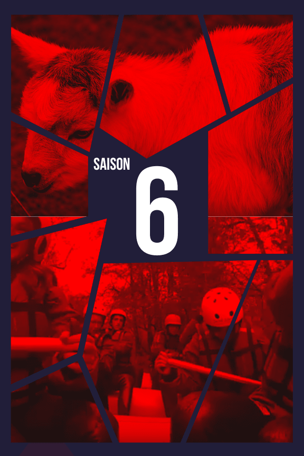 Palmarès saison 6