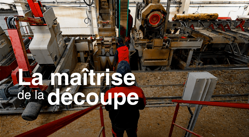 03 - Le scieur de tête !