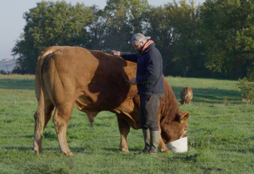 Le métier d’éleveur au cœur du film "Rural"