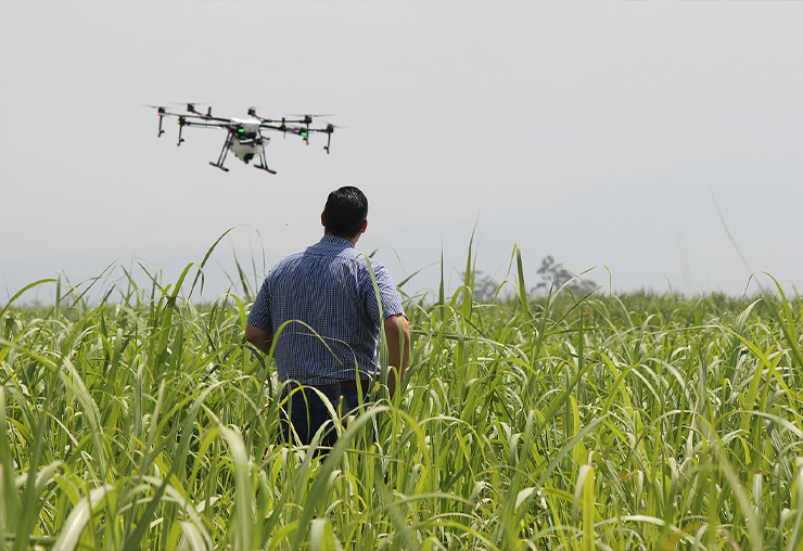 Quand l'agriculture se met au big data...