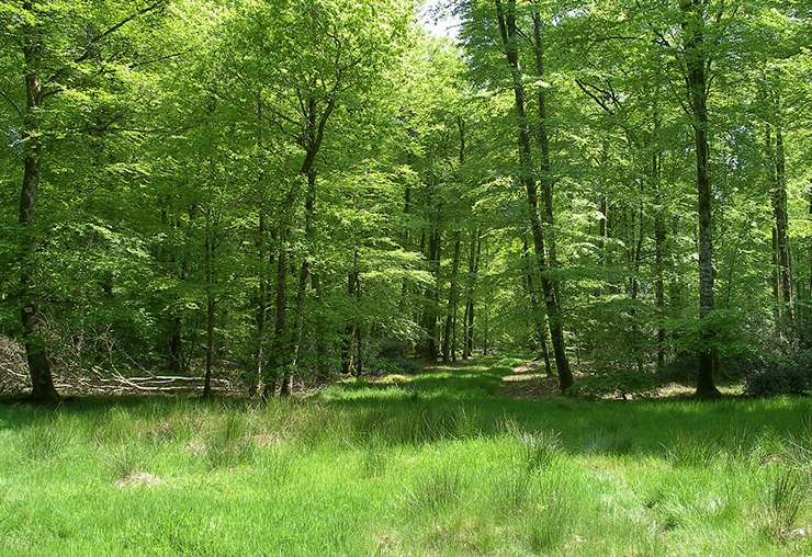 La biodiversité, une manne d'emplois d'avenir ?