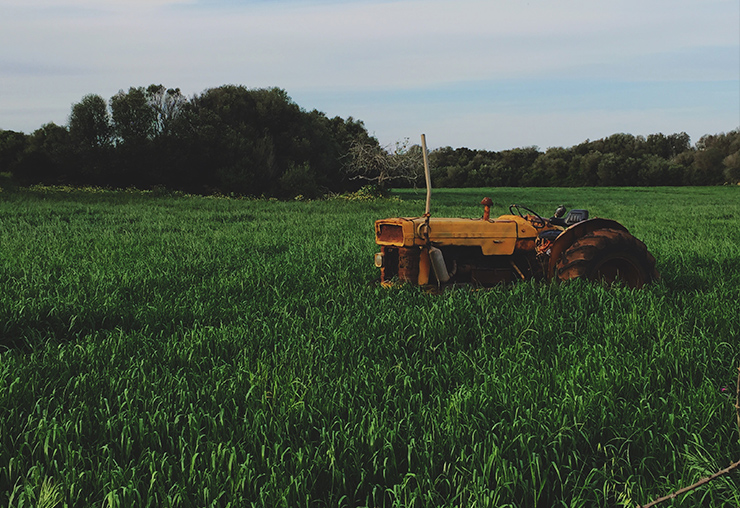 Ouvrier agricole : un métier très demandé