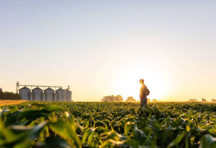 Les métiers de l’agriculture