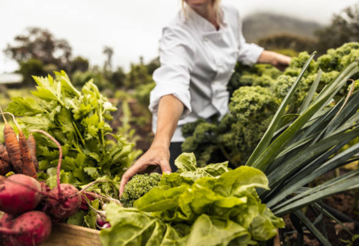 Le métier d'Agriculteur