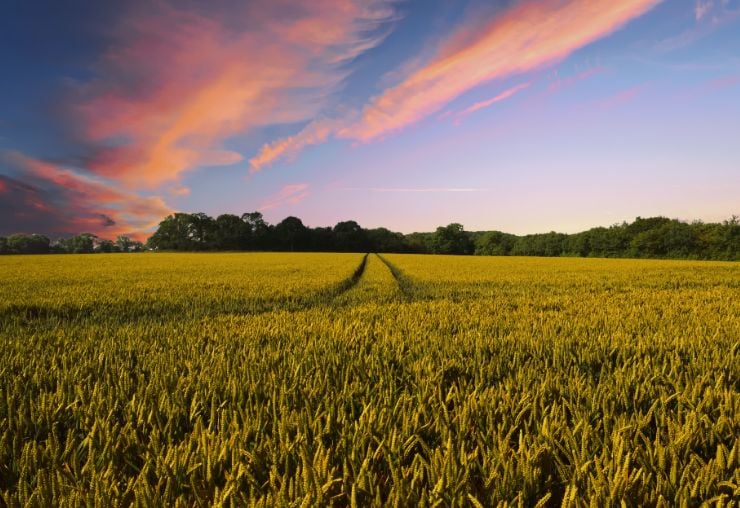 Les métiers de l'agriculture