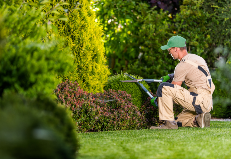 Travailler dans un jardin : 8 métiers pour vivre au vert