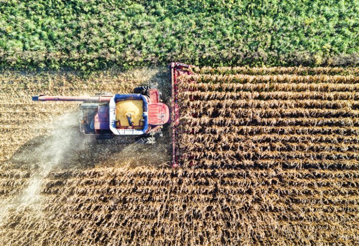 Circuits courts et transformation à la ferme : un métier d’agriculteur attractif et rentable